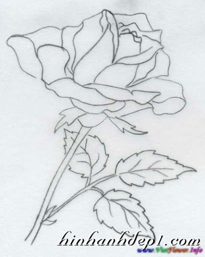 Hình vẽ 3D đẹp như thật bằng bút chì