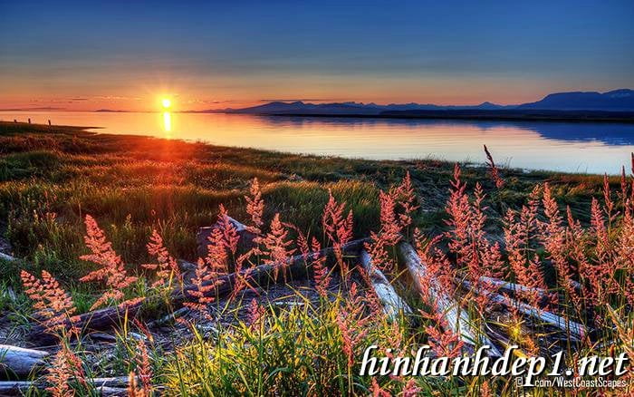 Album ảnh nền thiên nhiên, cảnh vật lung linh nhất đầu năm 202014