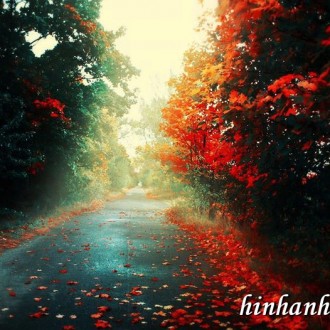 Tuyển chọn bộ ảnh nền thiên nhiên lung linh nhất tháng