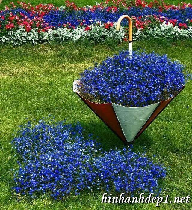 Album ảnh nền thiên nhiên, cảnh vật lung linh nhất đầu năm 20204