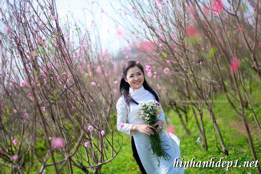 Ảnh nền thiếu nữ Việt diện áo dài ngày tết 7