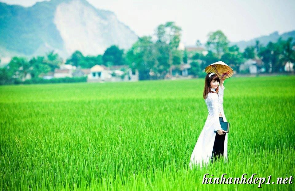 Giá trị văn hóa của tà Áo Dài Việt Nam qua ảnh nền máy tính