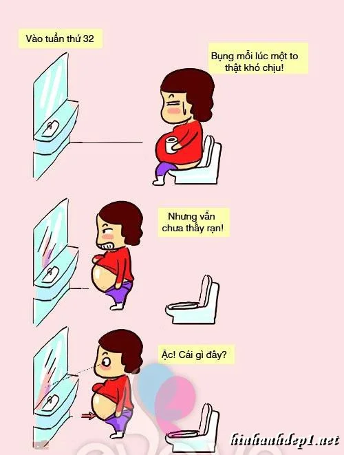 anh-che-hai-huoc-ve-cac-ba-bau (7)