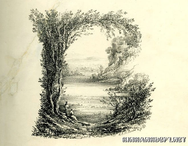 Ảnh nền bảng chữ cái đẹp được tạo từ thiên nhiên (1)