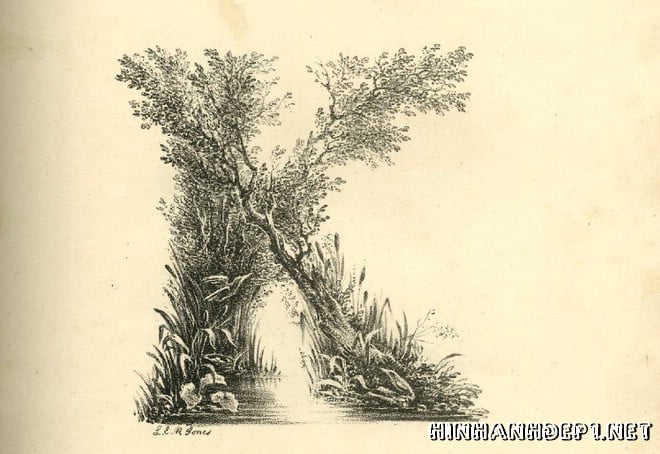 Ảnh nền bảng chữ cái đẹp được tạo từ thiên nhiên (10)