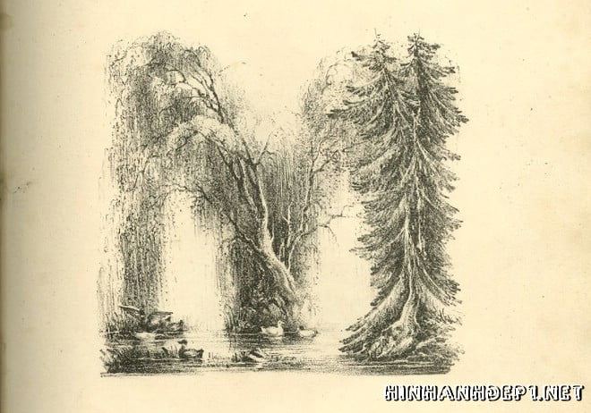 Ảnh nền bảng chữ cái đẹp được tạo từ thiên nhiên (12)