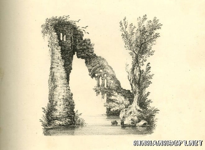 Ảnh nền bảng chữ cái đẹp được tạo từ thiên nhiên (13)