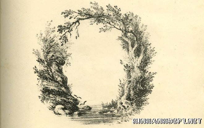 Ảnh nền bảng chữ cái đẹp được tạo từ thiên nhiên (14)