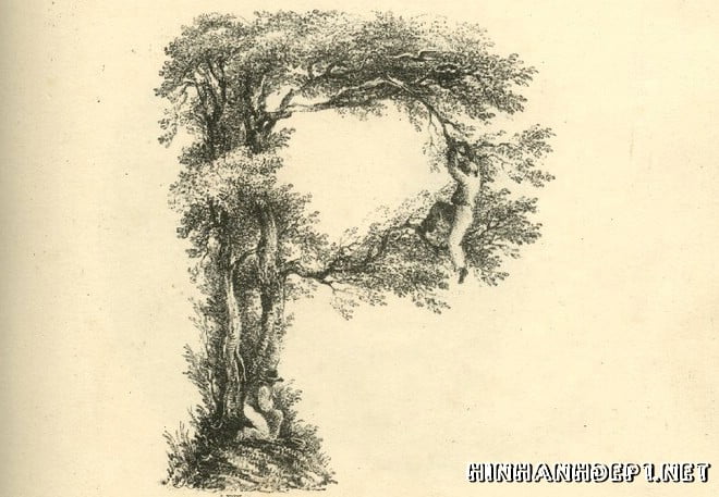 Ảnh nền bảng chữ cái đẹp được tạo từ thiên nhiên (15)