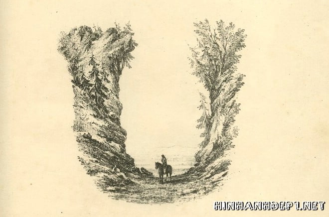 Ảnh nền bảng chữ cái đẹp được tạo từ thiên nhiên (20)