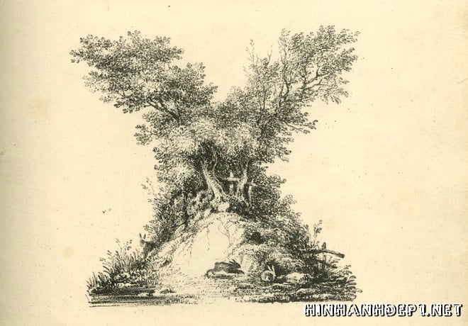 Ảnh nền bảng chữ cái đẹp được tạo từ thiên nhiên (23)