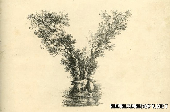 Ảnh nền bảng chữ cái đẹp được tạo từ thiên nhiên (24)