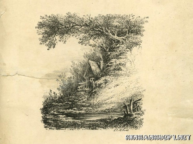 Ảnh nền bảng chữ cái đẹp được tạo từ thiên nhiên (25)