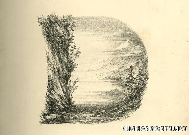 Ảnh nền bảng chữ cái đẹp được tạo từ thiên nhiên (3)