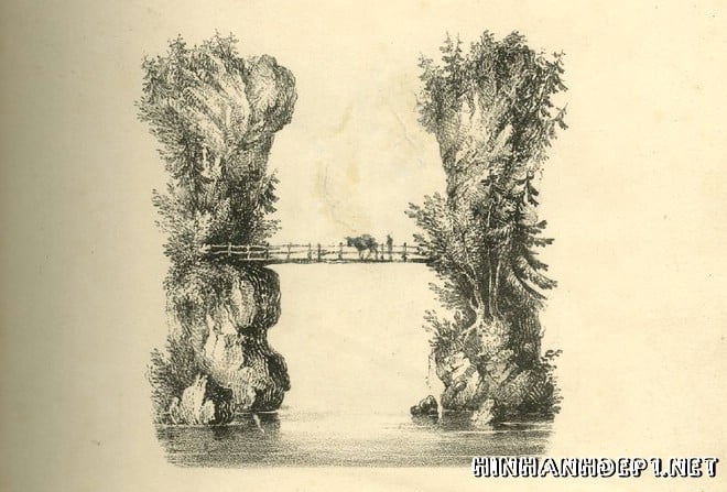 Ảnh nền bảng chữ cái đẹp được tạo từ thiên nhiên (7)