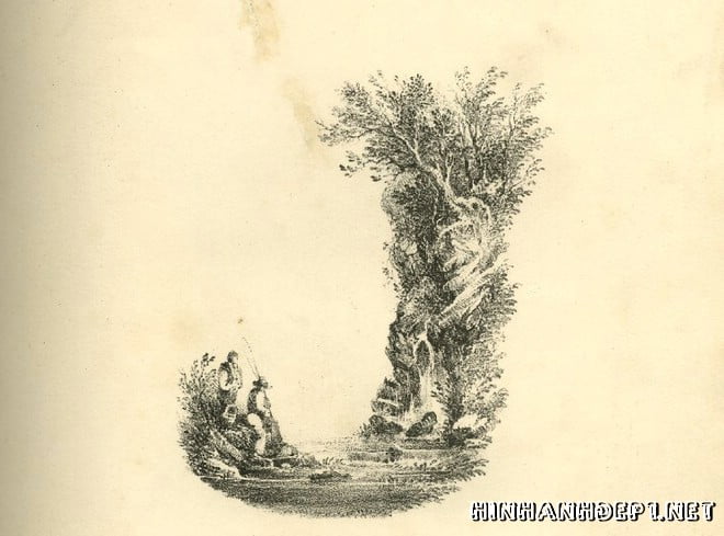 Ảnh nền bảng chữ cái đẹp được tạo từ thiên nhiên (9)