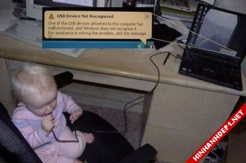 anh-hai-huoc-xoay-quanh-nhung-chiec-may-tinh (12)