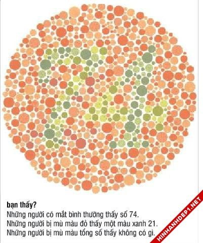 bai-test-hinh-anh-do-do-mu-mau (6)