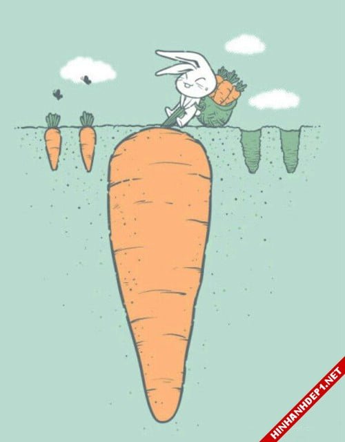 hinh-anh-the-hien-ban-chat-thuc-cua-cuoc-song (6)