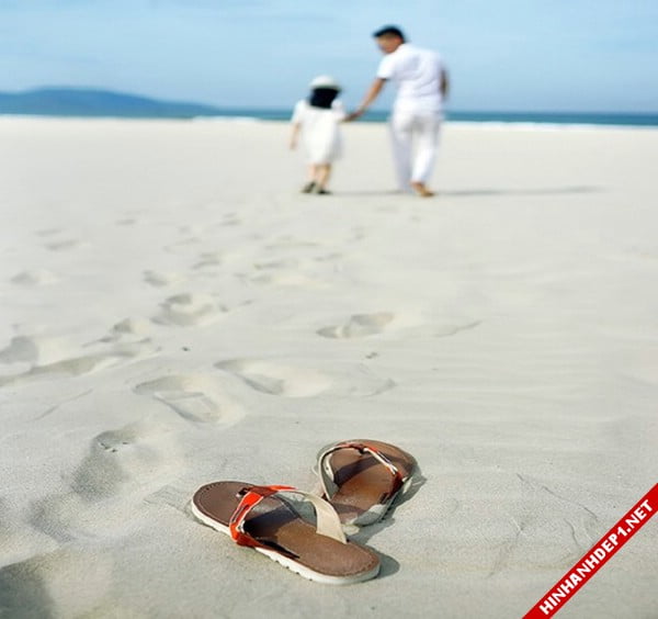 cam-dong-voi-bo-anh-nam-tay-bo-cua-mr-lee (14)