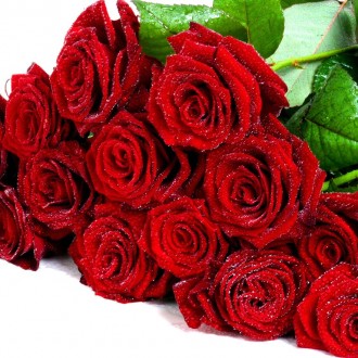 Những mẫu hoa hồng đẹp tặng thầy cô nhân ngày nhà giáo Việt Nam