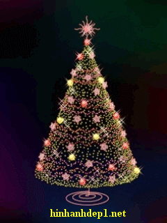 Hình ảnh nền cây thông Noel giáng sinh động cực đẹp (1)