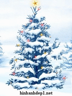 Hình ảnh nền cây thông Noel giáng sinh động cực đẹp (2)