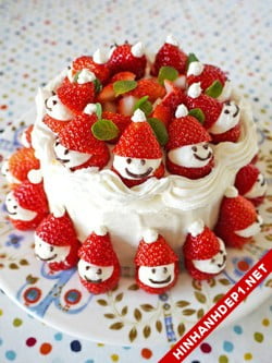 nhung-mau-hinh-anh-banh-sinh-nhat-chu-de-noel (8)