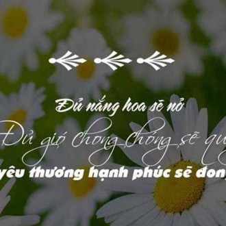 Những hình ảnh thư pháp nói về cha mẹ đầy ý nghĩa