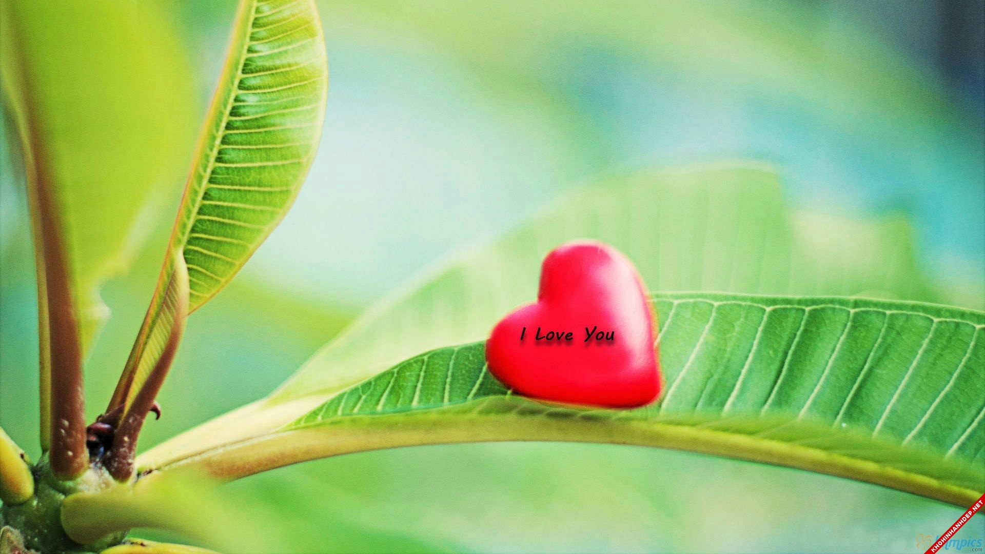 Tải hình nền tình yêu đôi lứa đẹp nhất