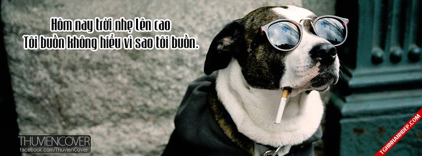 cover-hinh-nen-facebook-doc-la-voi-cac-loai-dong-vat-sieu-dang-yeu (3)