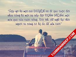 Những câu nói hay về cảm xúc trong tình yêu