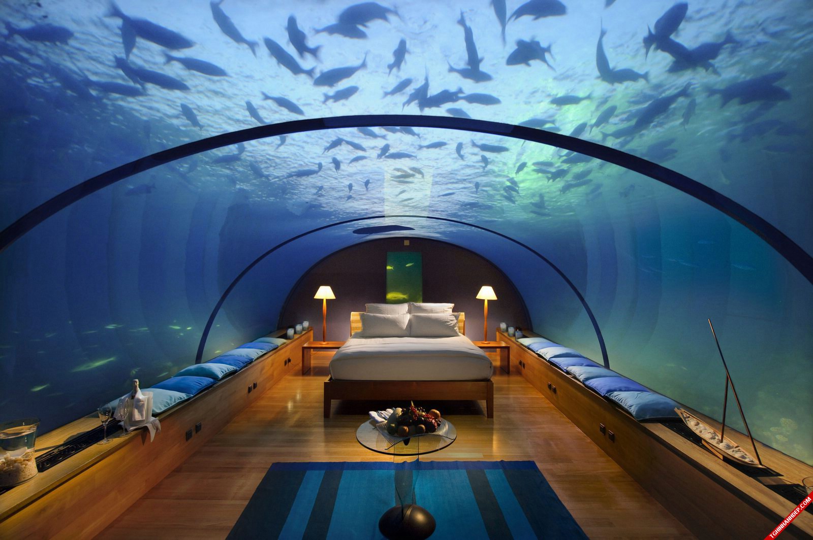 Bộ ảnh tuyệt đẹp ở thiên đường Maldives