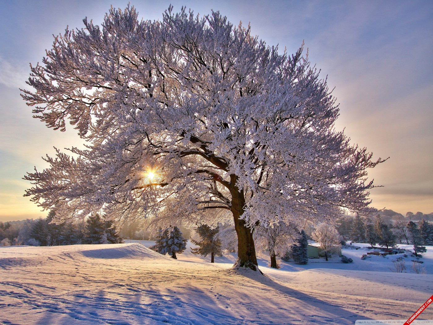 Bộ sưu tập cảnh đẹp về tuyết rơi mùa đông