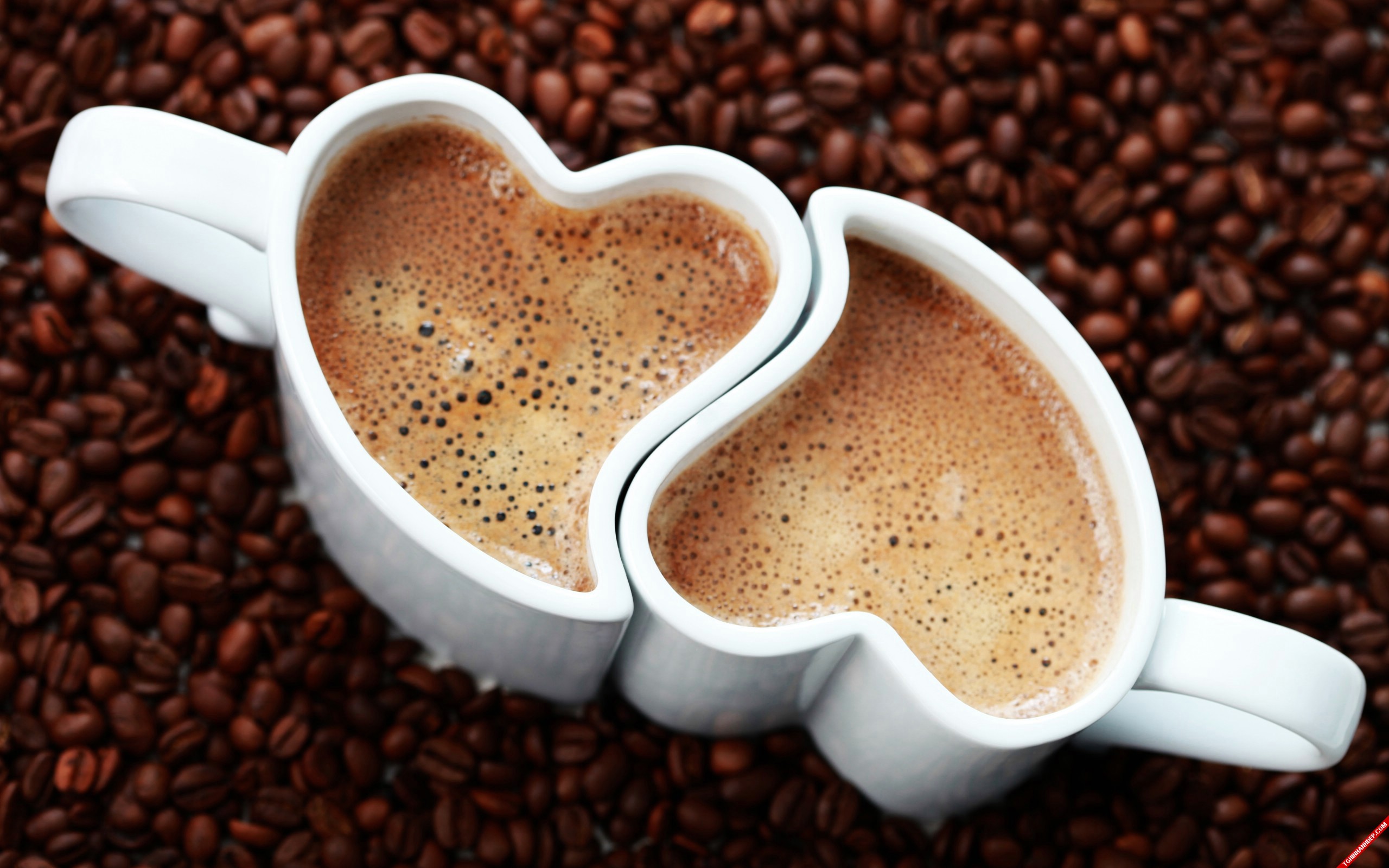 Hình nền đẹp về tình yêu từ những ly cà phê
