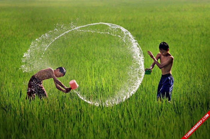 Làng quê Việt đẹp thơ mộng qua ống kính nhiếp ảnh gia