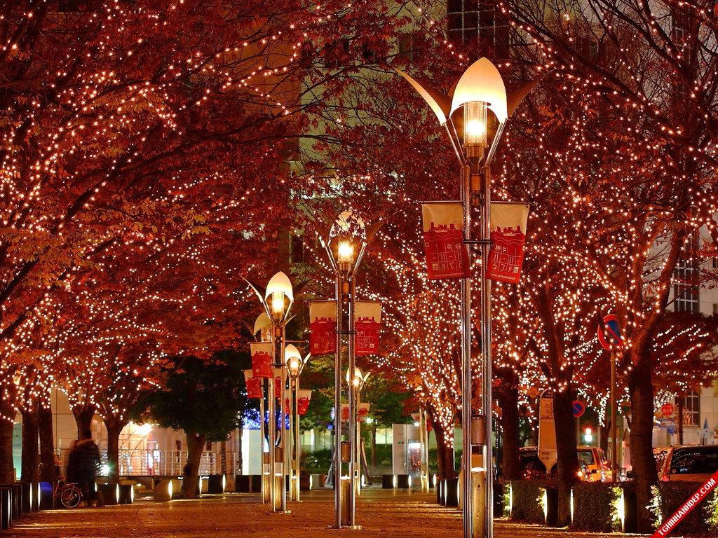 Trọn bộ ảnh đẹp về quang cảnh đường phố mùa Giáng sinh
