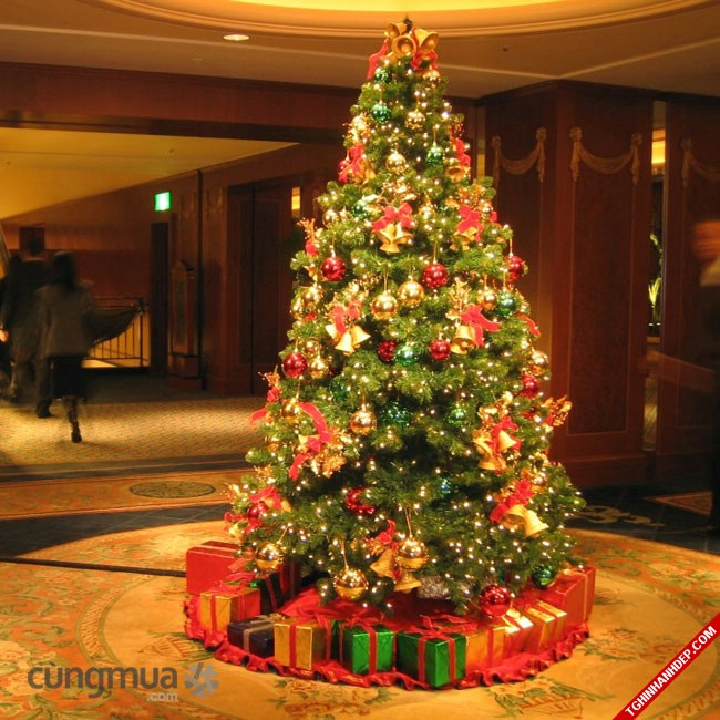 Tuyển tập hình ảnh đẹp về trang trí cho cây thông Noel