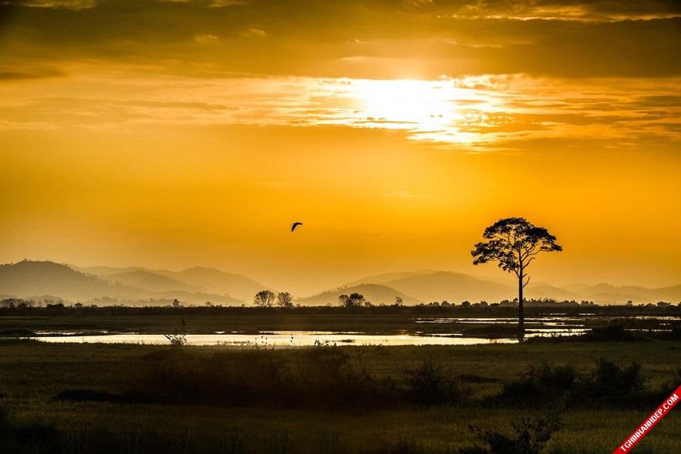 Việt Nam xinh đẹp qua góc nhìn của nhiếp ảnh gia ngoại quốc