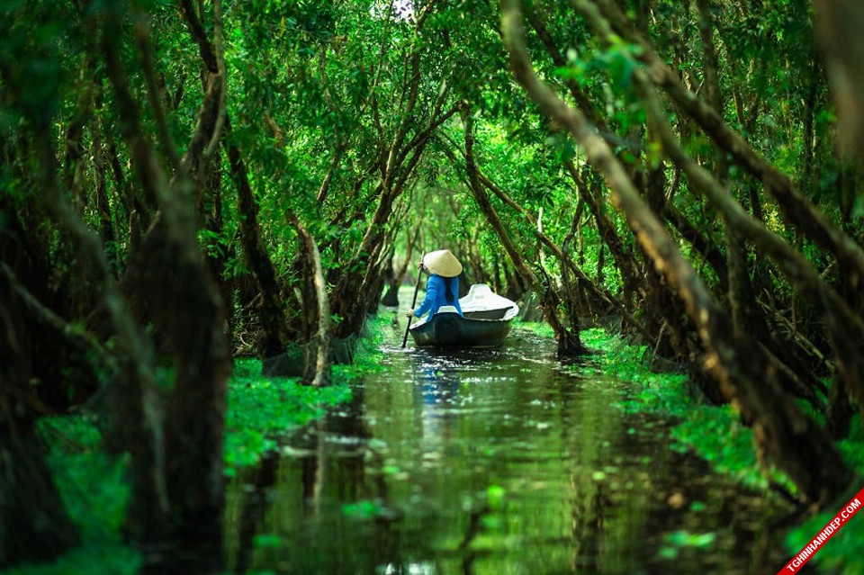 Việt Nam xinh đẹp qua góc nhìn của nhiếp ảnh gia ngoại quốc
