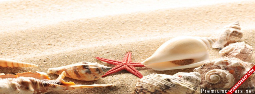 Ảnh bìa cho facebook đẹp nhất về biển