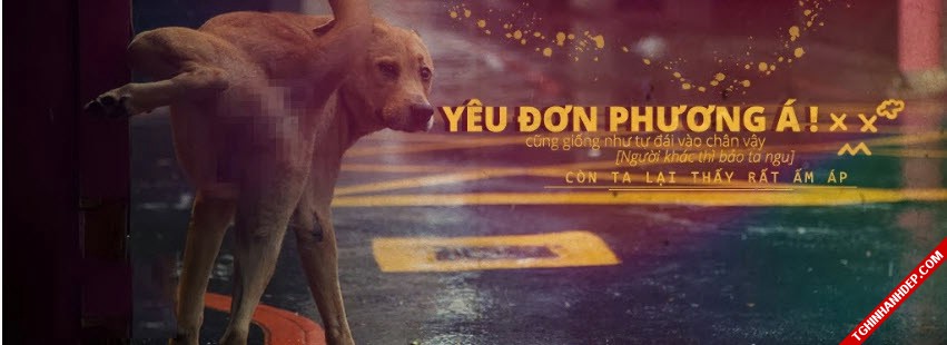 Ảnh bìa phong cách độc lạ chất lừ cho các bạn trẻ