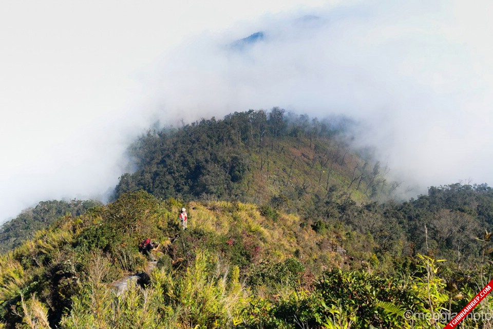 Cảnh đẹp núi Bạch Mộc Lương Tử cho ai muốn khám phá