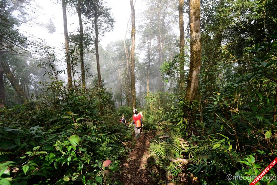 Cảnh đẹp núi Bạch Mộc Lương Tử cho ai muốn khám phá