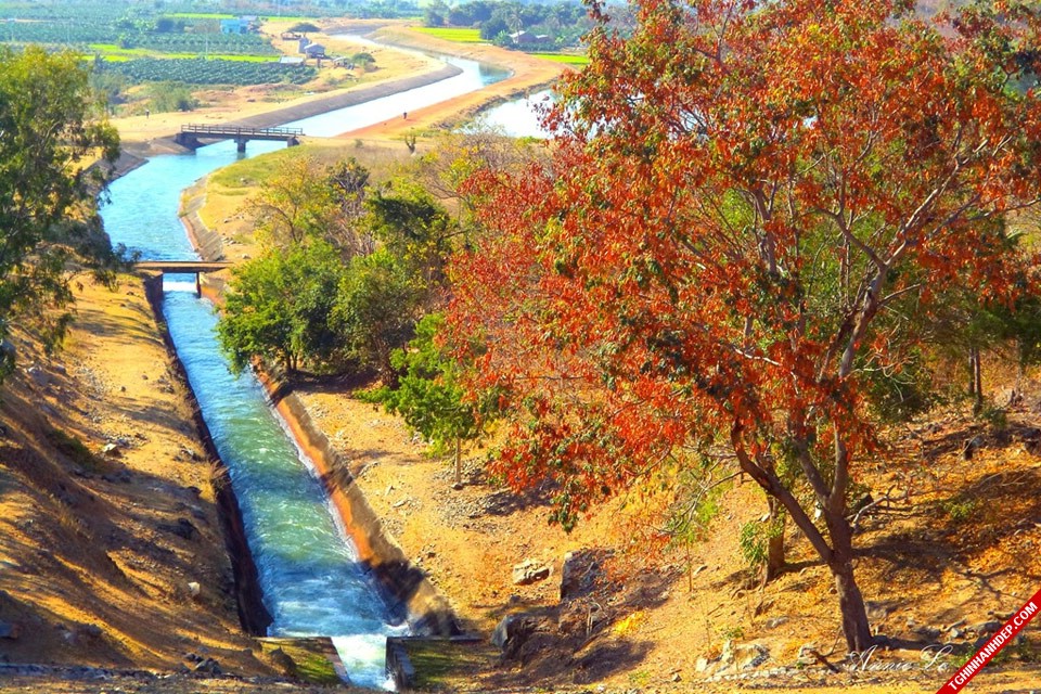 Mê mẩn với cảnh đẹp hồ thủy lợi Sông Quao- Bình Thuận