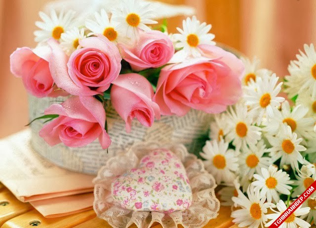 Hình ảnh đẹp gửi tặng những người phụ nữ ngày 8/3