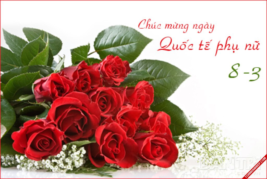 Hình ảnh đẹp gửi tặng những người phụ nữ ngày 8/3