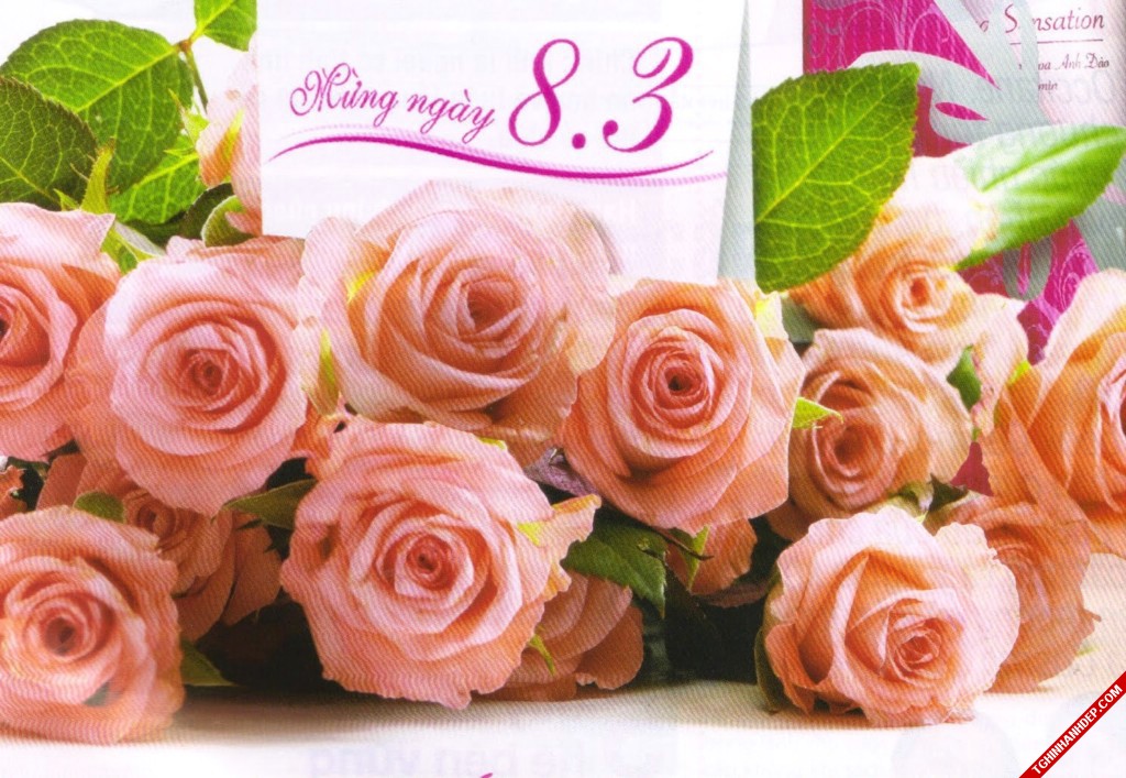 Hình ảnh đẹp gửi tặng những người phụ nữ ngày 8/3