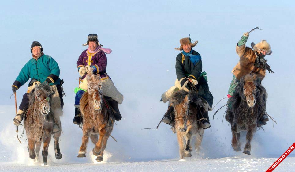 Bộ ảnh đẹp về ngựa trên thảo nguyên Mông Cổ