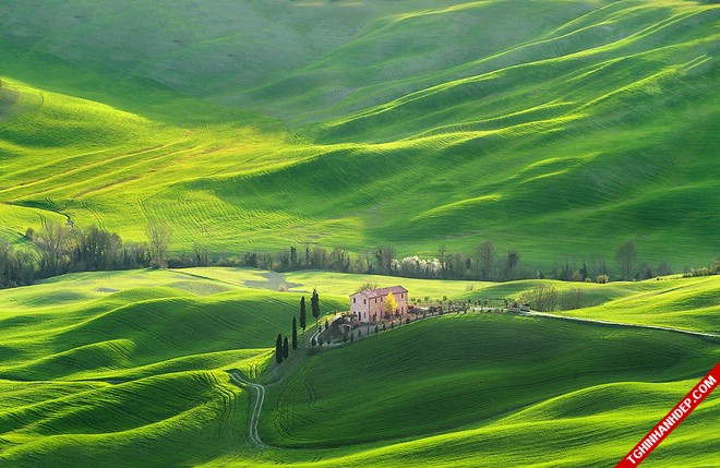 Đã mắt với vẻ đẹp thơ mộng của vùng đất Tuscany